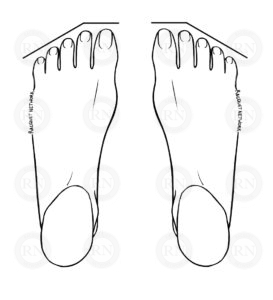 Diagram of a T2-Taper Roman Toe Line