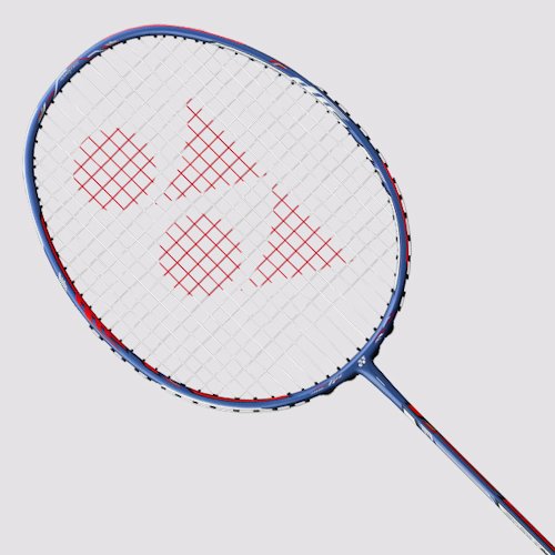 Badminton Racquets for Advanced Men Calgary Store Expert Advice